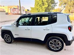 جيب رينيجيد